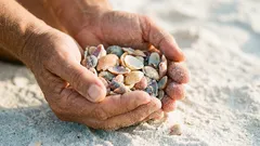 L'estate al mare: cosa puoi portare con te e cosa è vietato