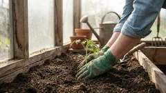 Cosa piantare ad aprile in piena terra, in serra e per le piantine: un elenco da conservare